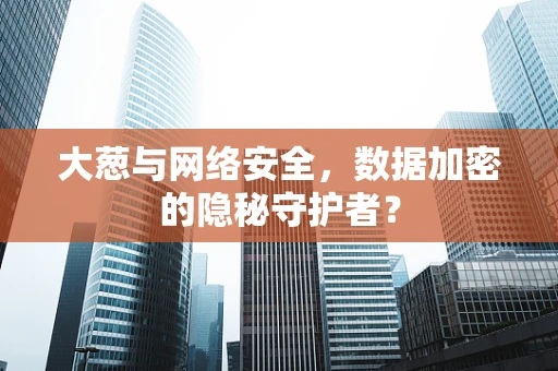 大葱与网络安全，数据加密的隐秘守护者？