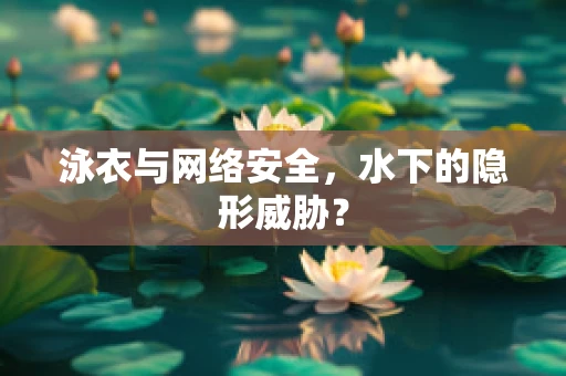 泳衣与网络安全，水下的隐形威胁？