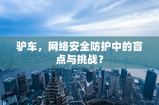 驴车，网络安全防护中的盲点与挑战？