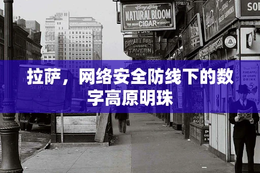 拉萨，网络安全防线下的数字高原明珠