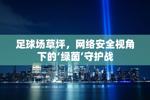 足球场草坪，网络安全视角下的‘绿茵’守护战