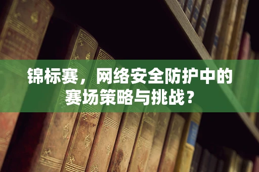 锦标赛，网络安全防护中的赛场策略与挑战？
