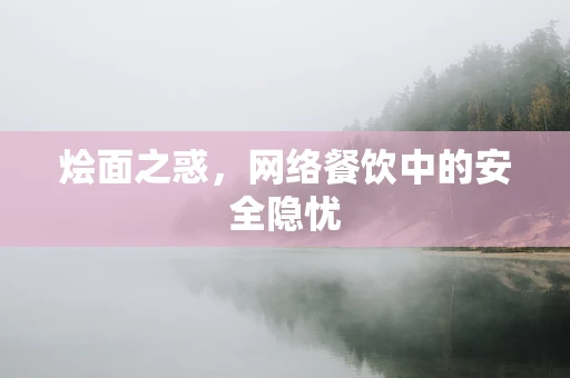 烩面之惑，网络餐饮中的安全隐忧