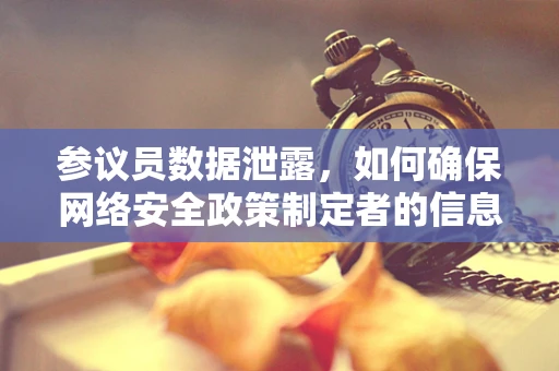 参议员数据泄露，如何确保网络安全政策制定者的信息不被窃取？