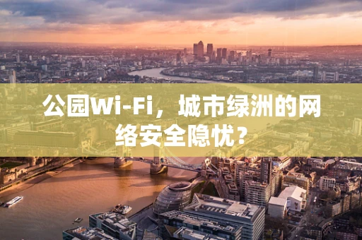 公园Wi-Fi，城市绿洲的网络安全隐忧？