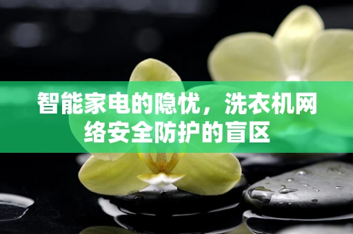 智能家电的隐忧，洗衣机网络安全防护的盲区