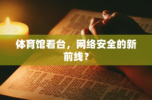 体育馆看台，网络安全的新前线？
