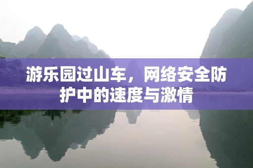游乐园过山车，网络安全防护中的速度与激情