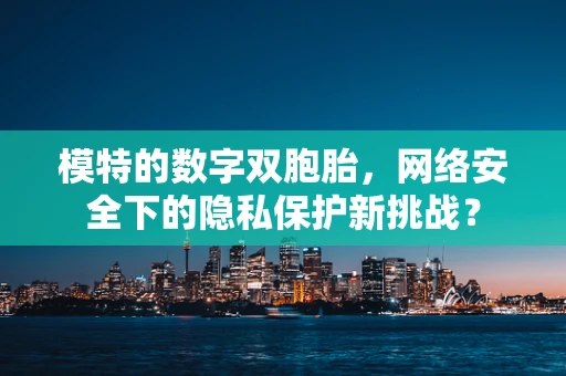 模特的数字双胞胎，网络安全下的隐私保护新挑战？
