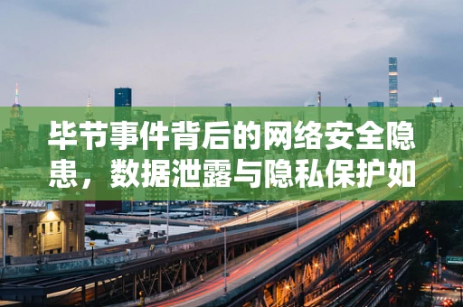 毕节事件背后的网络安全隐患，数据泄露与隐私保护如何平衡？