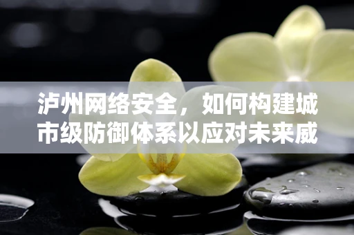 泸州网络安全，如何构建城市级防御体系以应对未来威胁？
