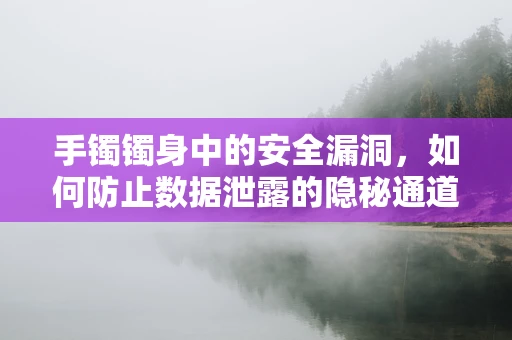 手镯镯身中的安全漏洞，如何防止数据泄露的隐秘通道？