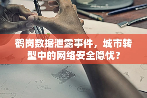 鹤岗数据泄露事件，城市转型中的网络安全隐忧？