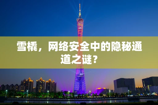 雪橇，网络安全中的隐秘通道之谜？