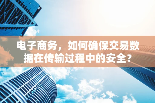 电子商务，如何确保交易数据在传输过程中的安全？