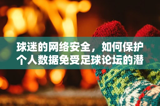 球迷的网络安全，如何保护个人数据免受足球论坛的潜在威胁？