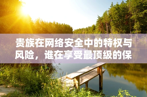 贵族在网络安全中的特权与风险，谁在享受最顶级的保护，也最易成为目标？