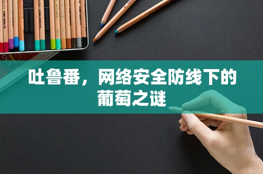 吐鲁番，网络安全防线下的葡萄之谜