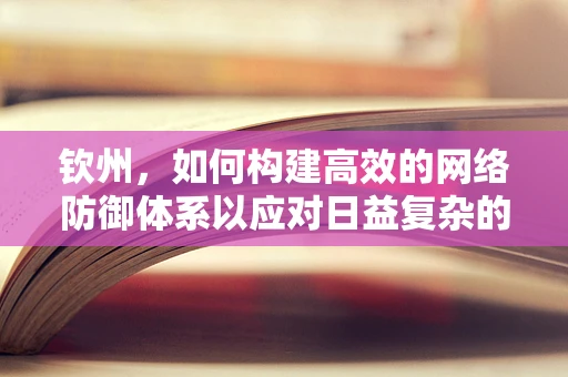 钦州，如何构建高效的网络防御体系以应对日益复杂的网络威胁？
