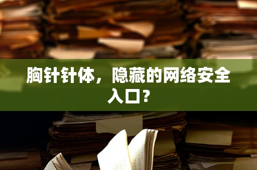 胸针针体，隐藏的网络安全入口？