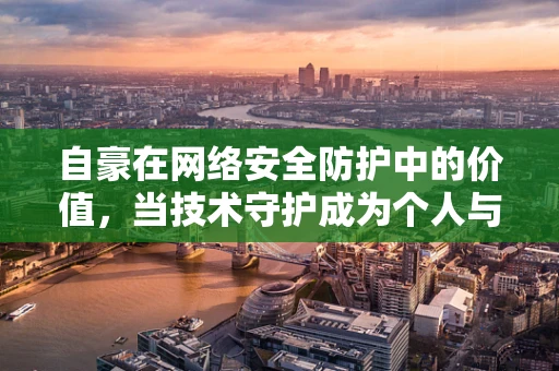 自豪在网络安全防护中的价值，当技术守护成为个人与国家的骄傲