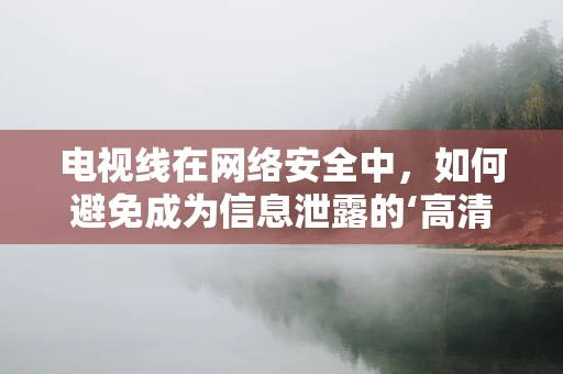 电视线在网络安全中，如何避免成为信息泄露的‘高清’通道？
