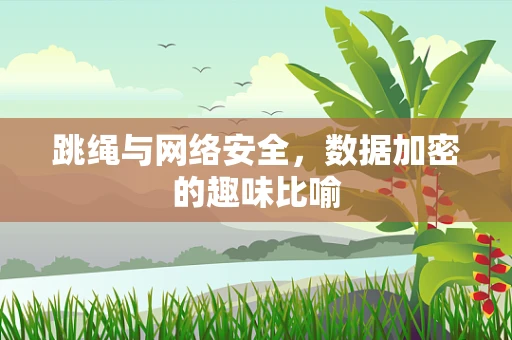跳绳与网络安全，数据加密的趣味比喻