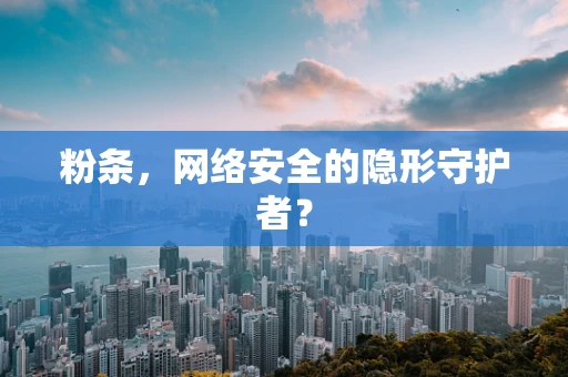 粉条，网络安全的隐形守护者？