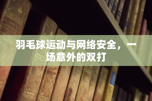 羽毛球运动与网络安全，一场意外的双打