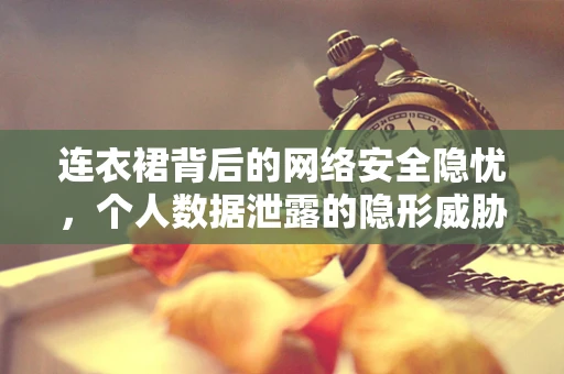 连衣裙背后的网络安全隐忧，个人数据泄露的隐形威胁？