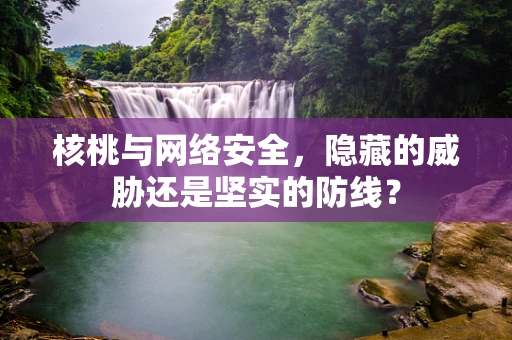 核桃与网络安全，隐藏的威胁还是坚实的防线？