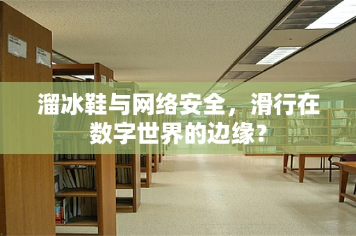 溜冰鞋与网络安全，滑行在数字世界的边缘？