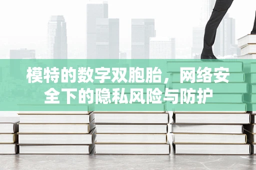 模特的数字双胞胎，网络安全下的隐私风险与防护