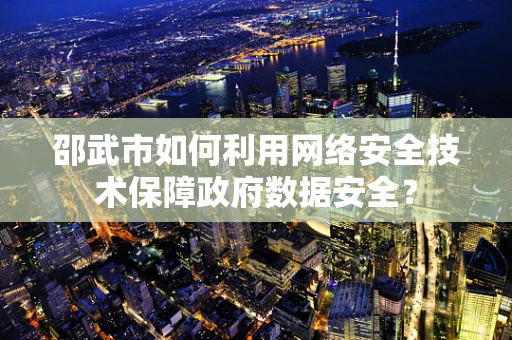 邵武市如何利用网络安全技术保障政府数据安全？