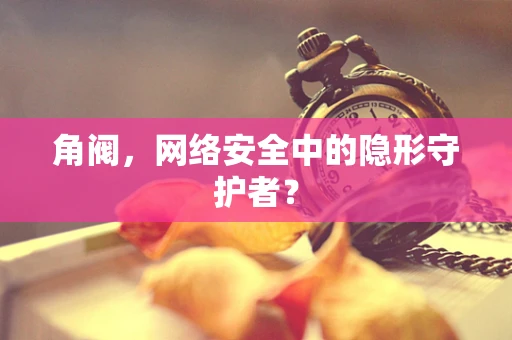 角阀，网络安全中的隐形守护者？