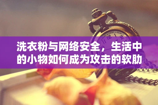 洗衣粉与网络安全，生活中的小物如何成为攻击的软肋？