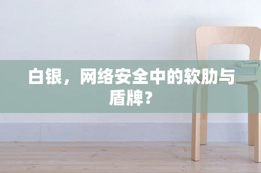 白银，网络安全中的软肋与盾牌？