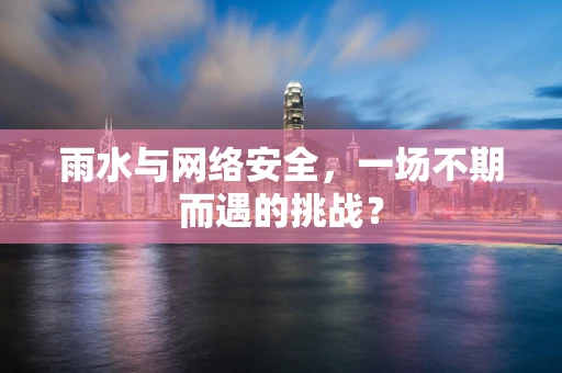 雨水与网络安全，一场不期而遇的挑战？
