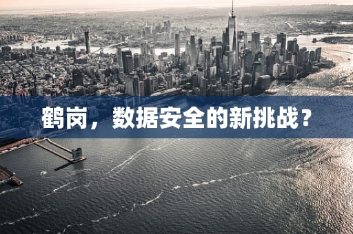 鹤岗，数据安全的新挑战？