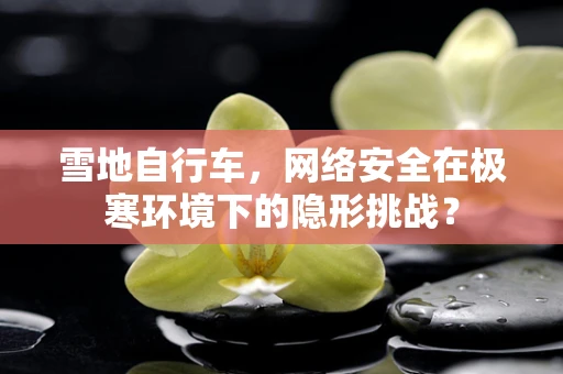 雪地自行车，网络安全在极寒环境下的隐形挑战？