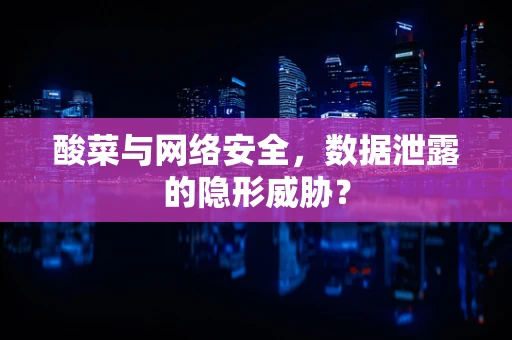 酸菜与网络安全，数据泄露的隐形威胁？