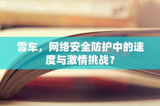 雪车，网络安全防护中的速度与激情挑战？