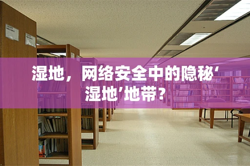 湿地，网络安全中的隐秘‘湿地’地带？