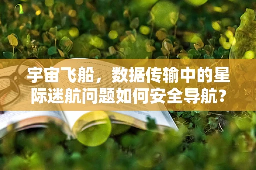 宇宙飞船，数据传输中的星际迷航问题如何安全导航？