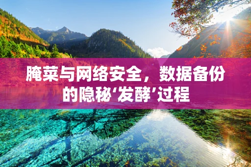 腌菜与网络安全，数据备份的隐秘‘发酵’过程