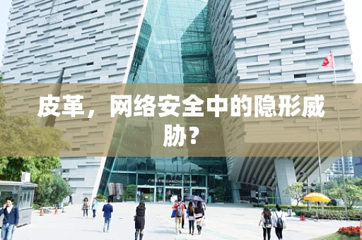 皮革，网络安全中的隐形威胁？