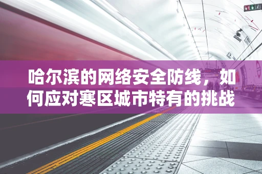 哈尔滨的网络安全防线，如何应对寒区城市特有的挑战？
