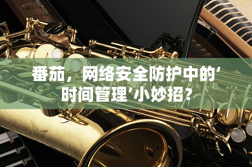 番茄，网络安全防护中的‘时间管理’小妙招？