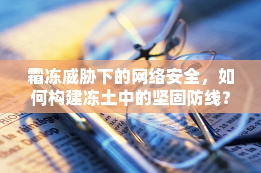 霜冻威胁下的网络安全，如何构建冻土中的坚固防线？