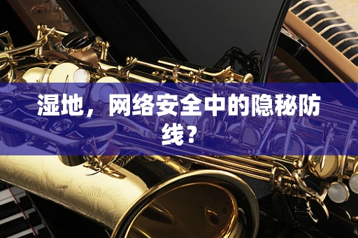 湿地，网络安全中的隐秘防线？